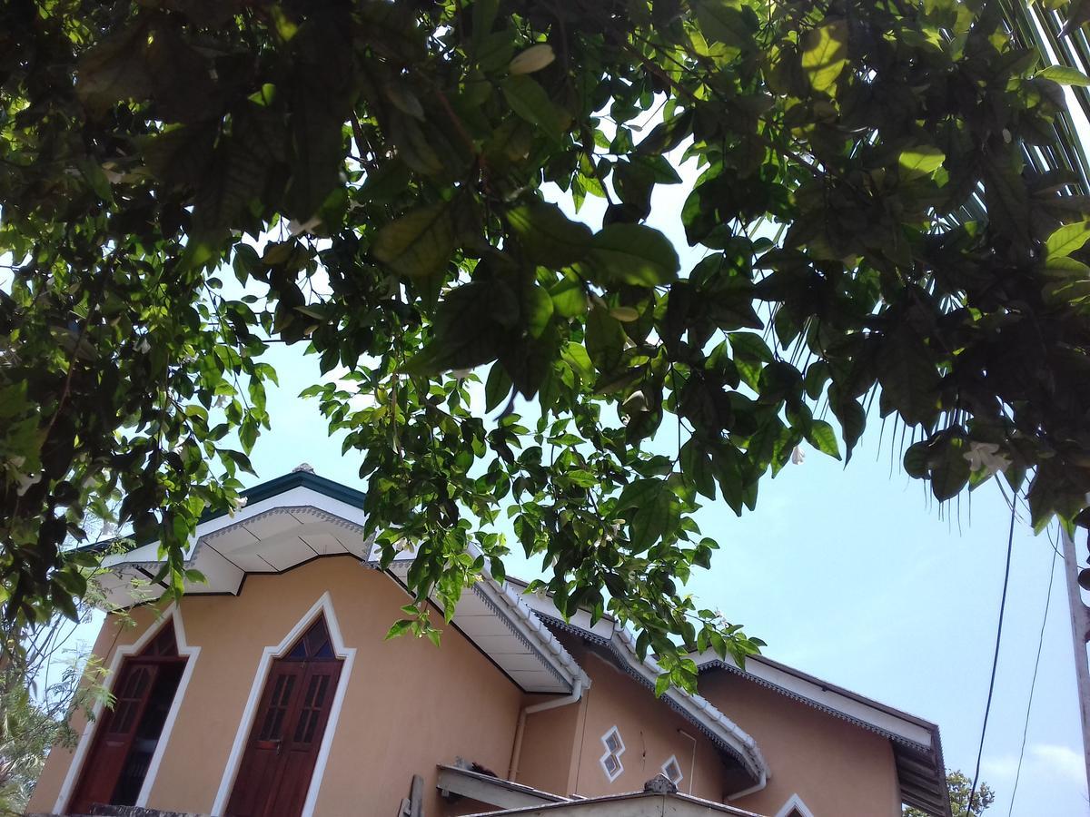 Galle Paradise Inn Экстерьер фото